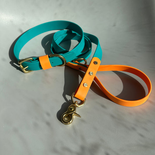 Babble Turquoise Colourblock BioThane® Lead