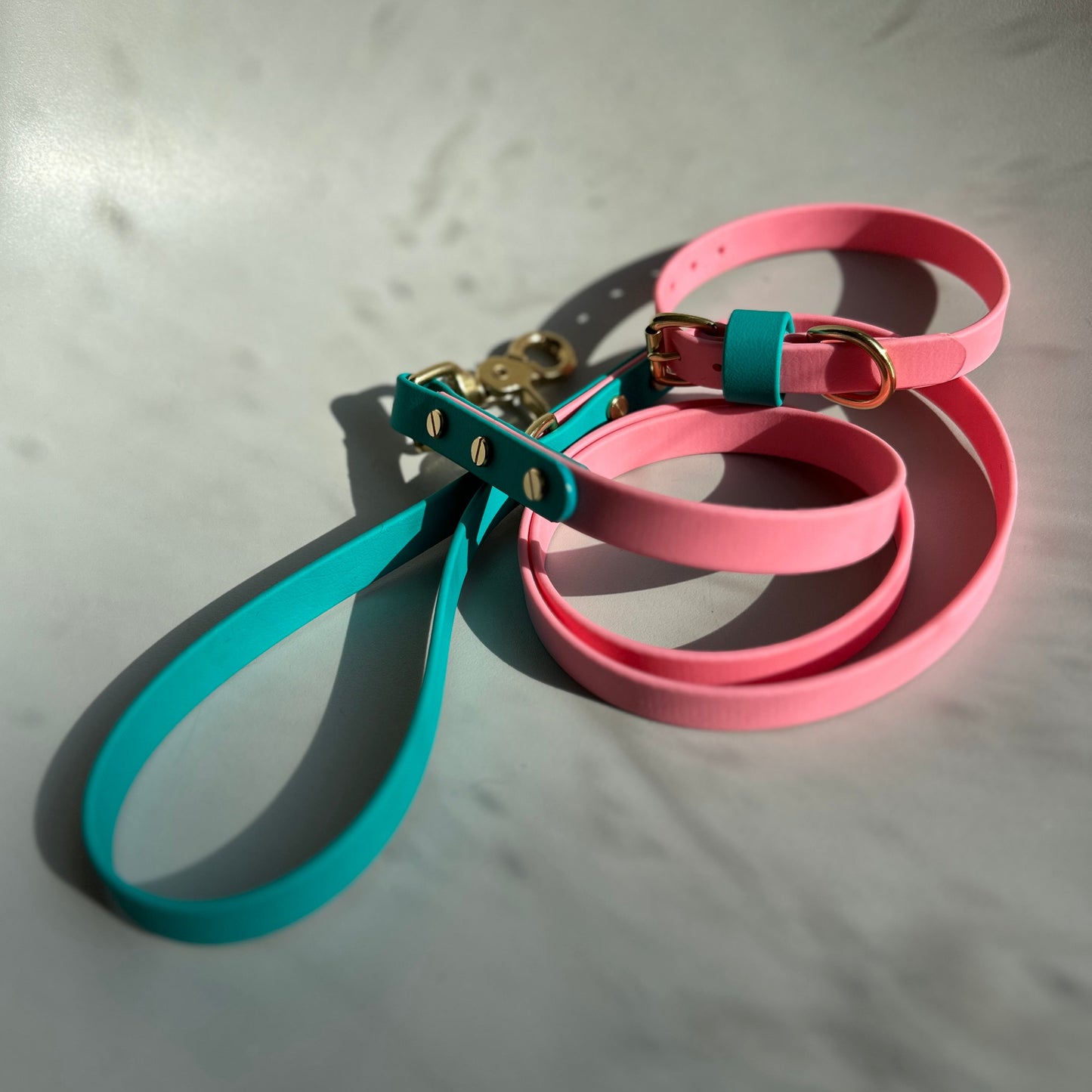 Babble Pink Colourblock BioThane® Lead