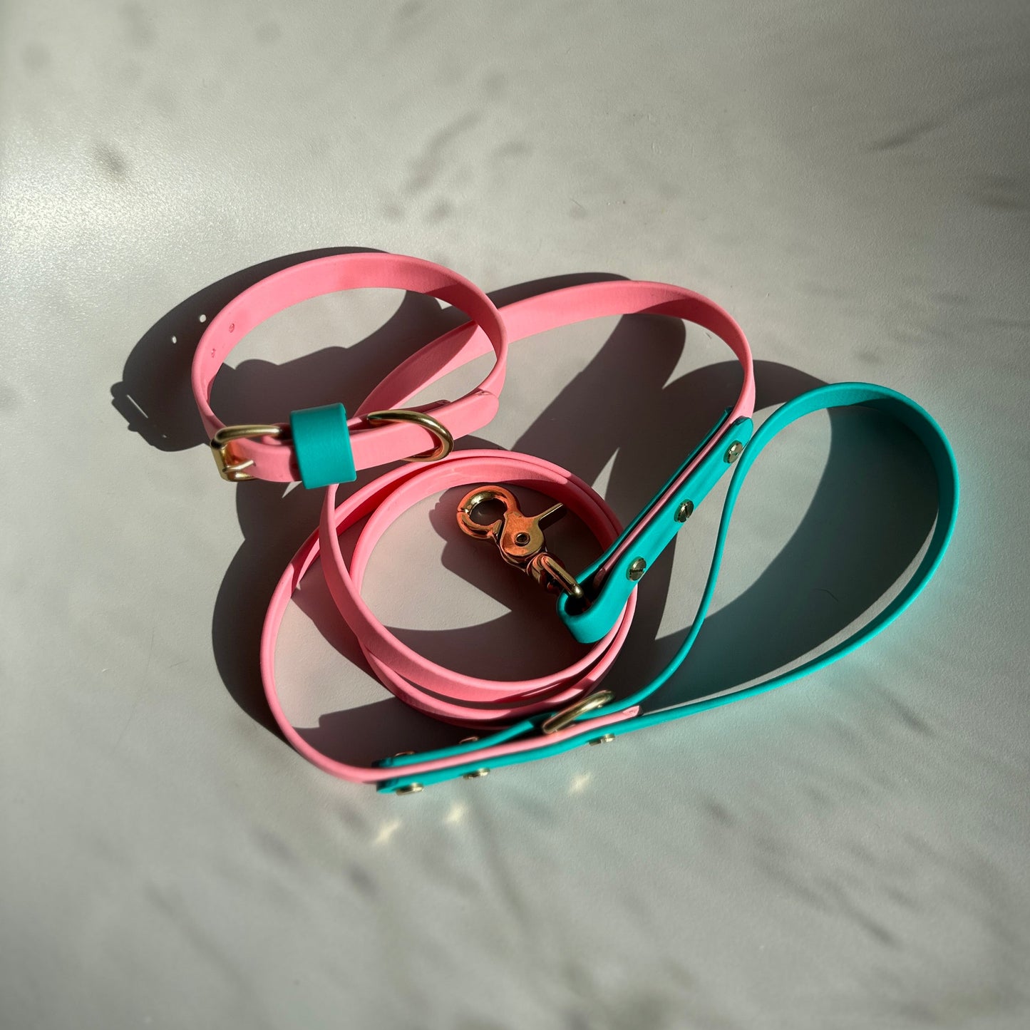 Babble Pink Colourblock BioThane® Lead