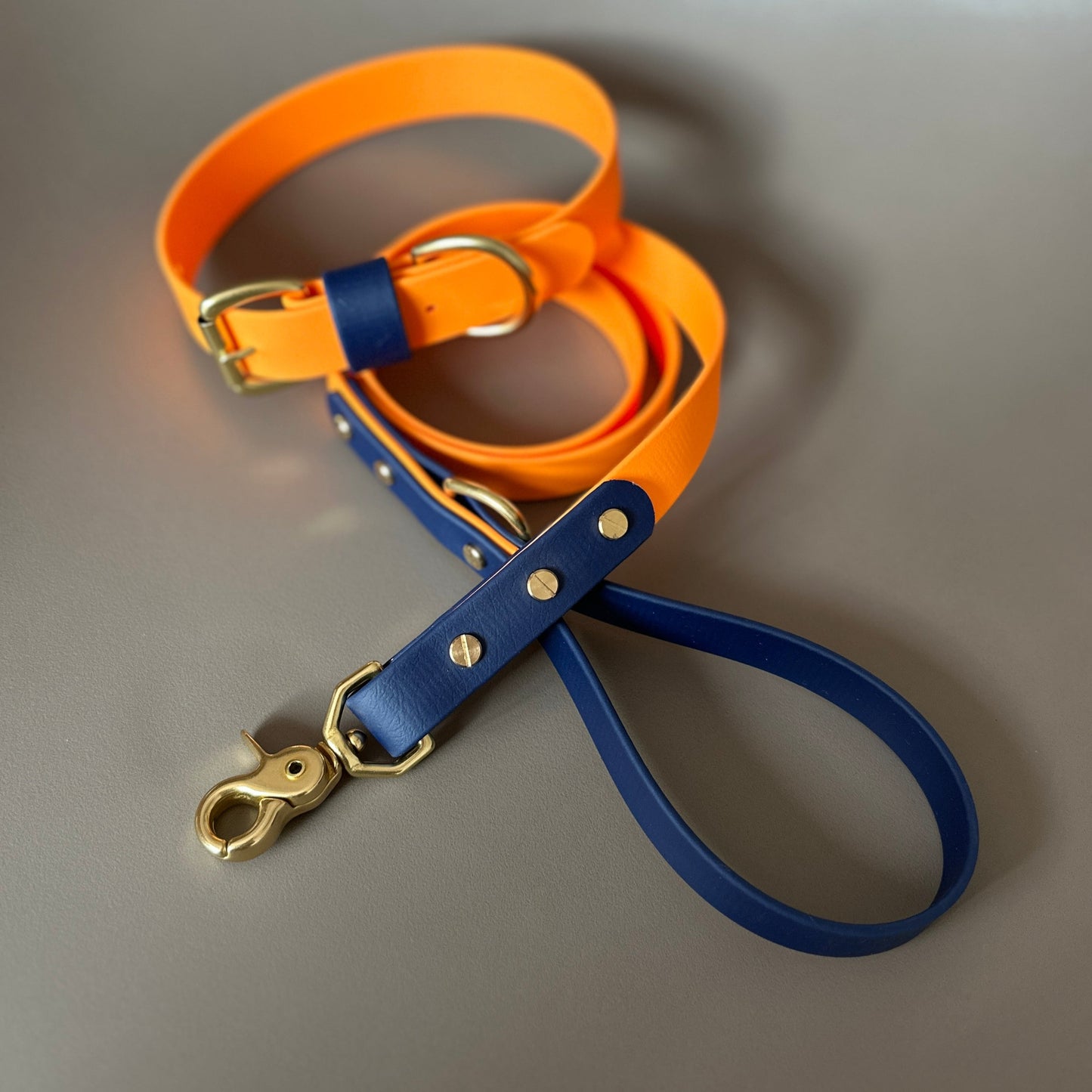 Mick Colourblock BioThane® Lead