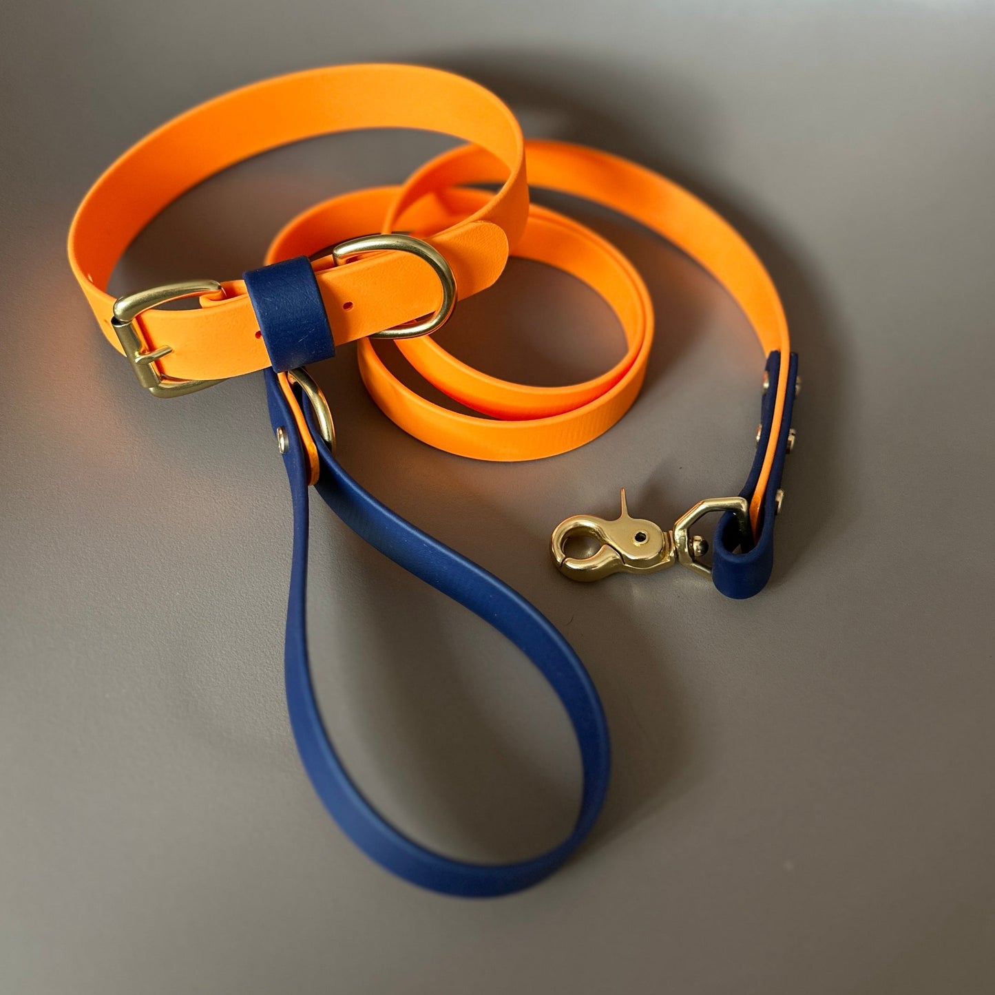 Mick Colourblock BioThane® Lead