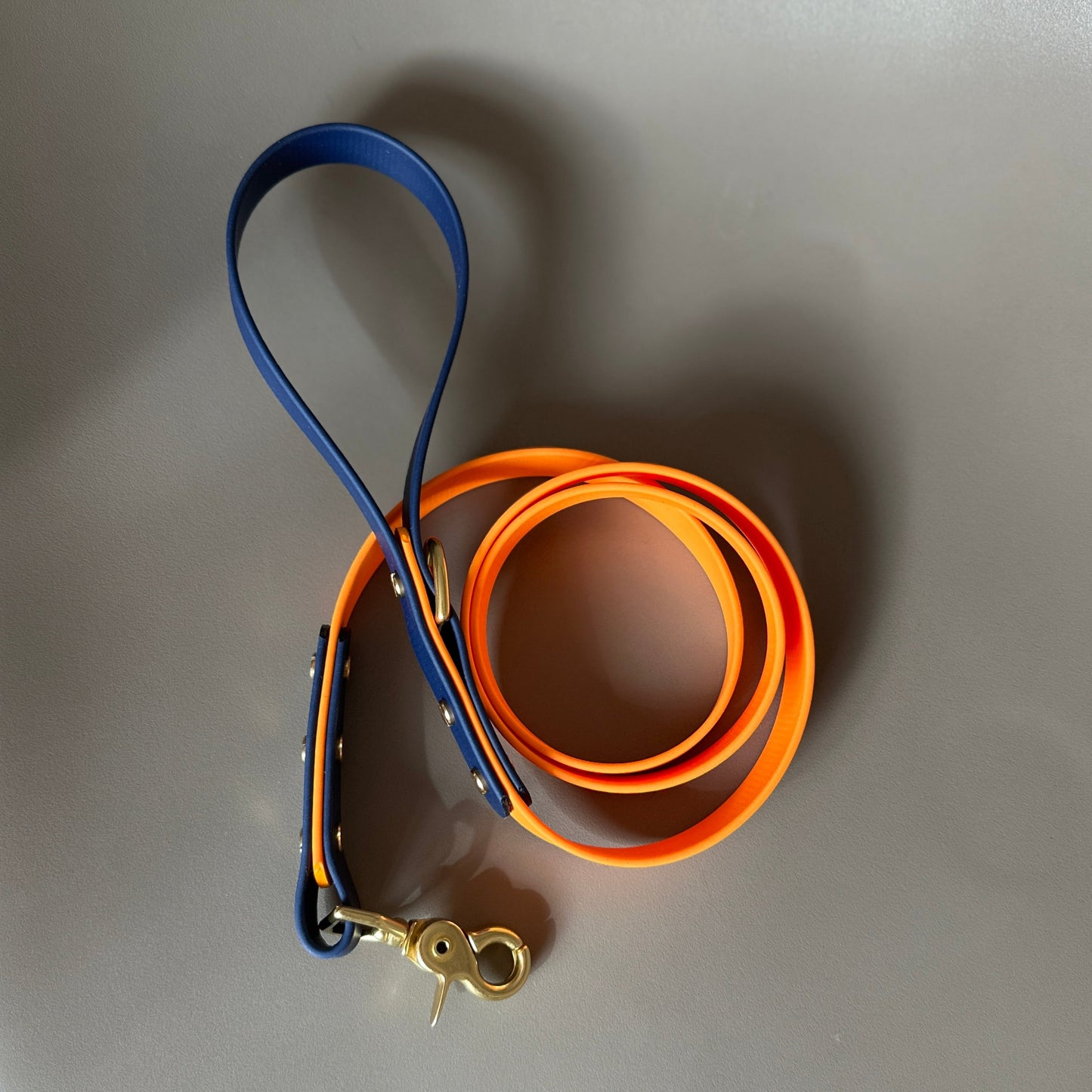 Mick Colourblock BioThane® Lead