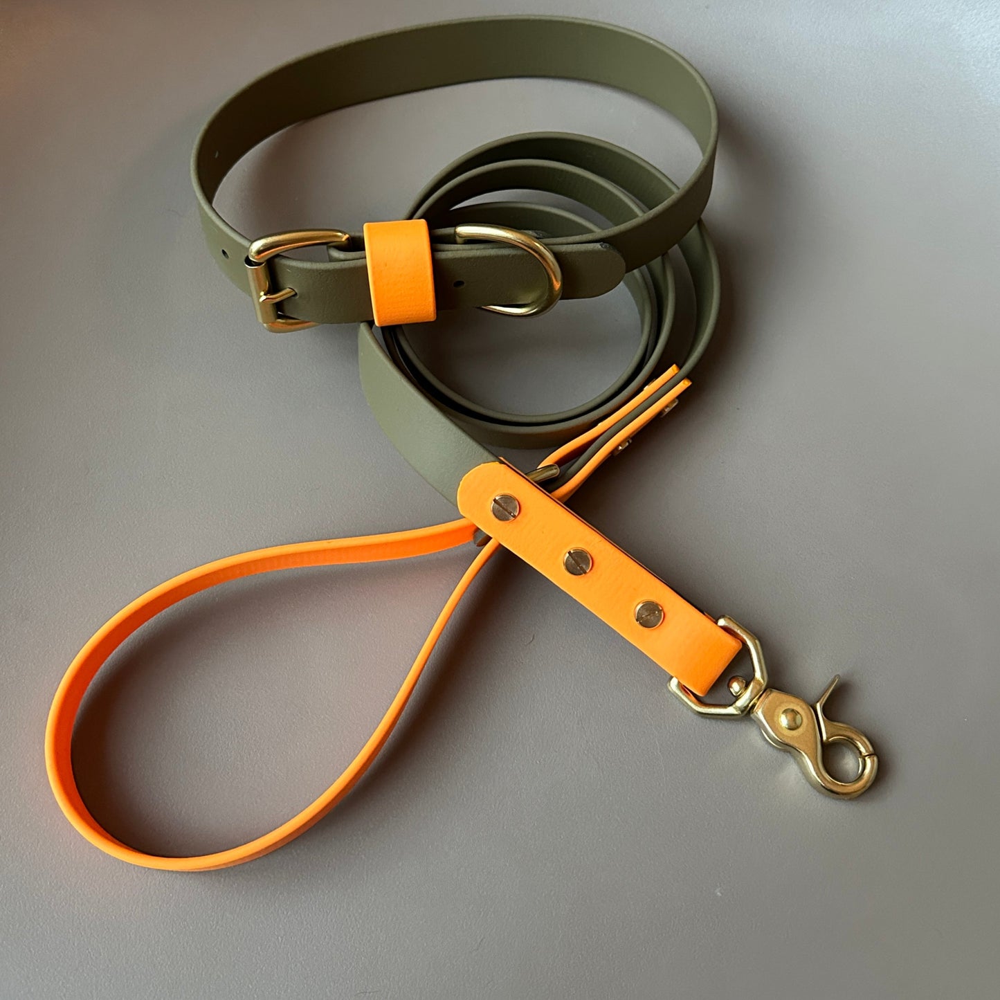 Dougie Colourblock BioThane® Collar