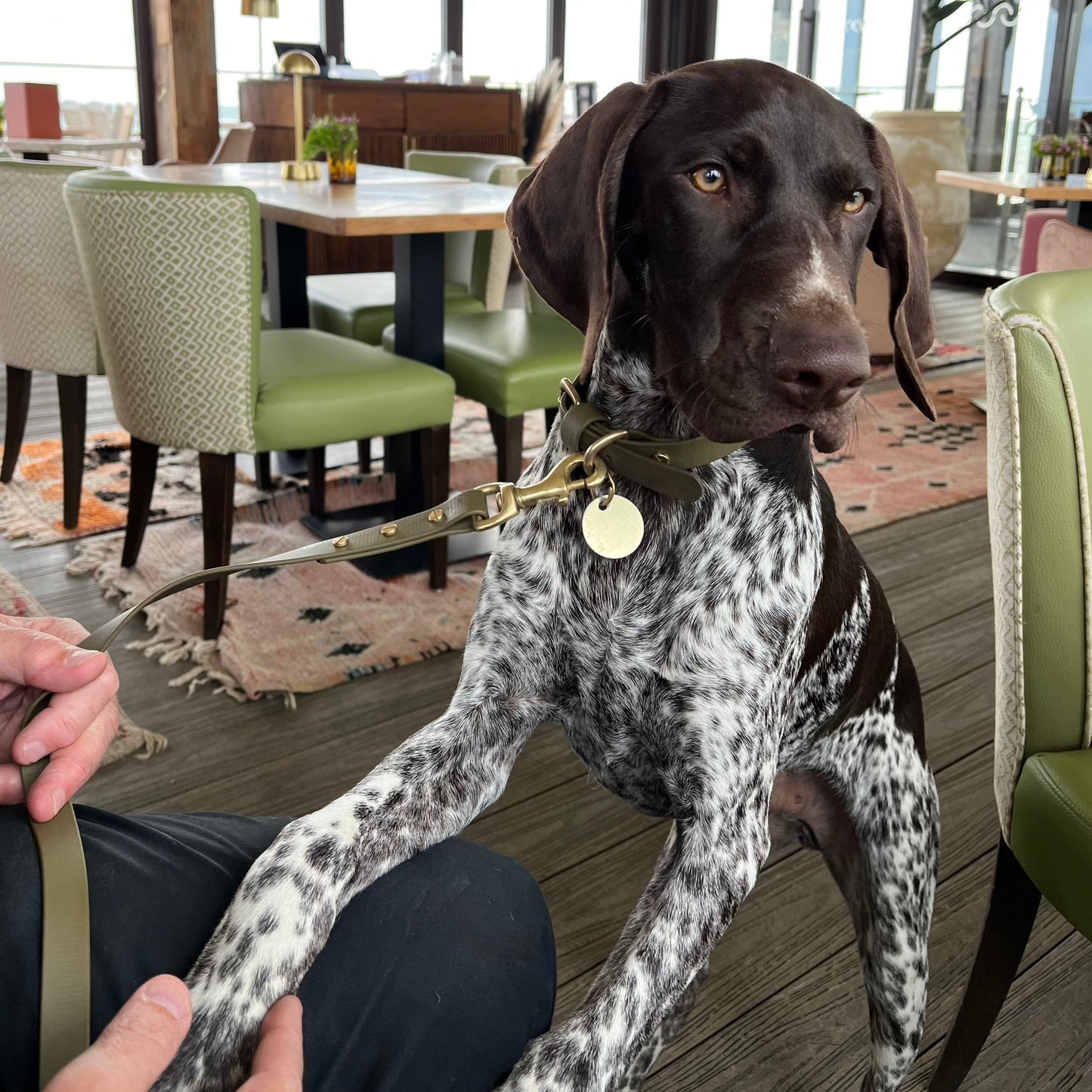 Olive BioThane® Collar