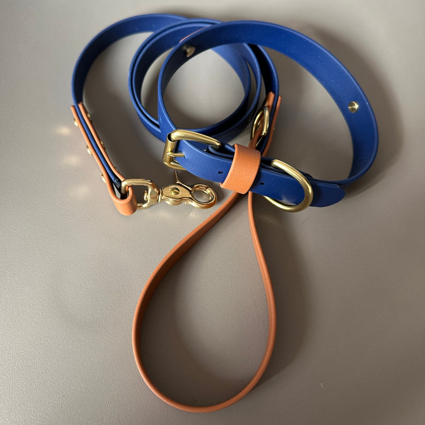 Buddy Colourband BioThane® Collar