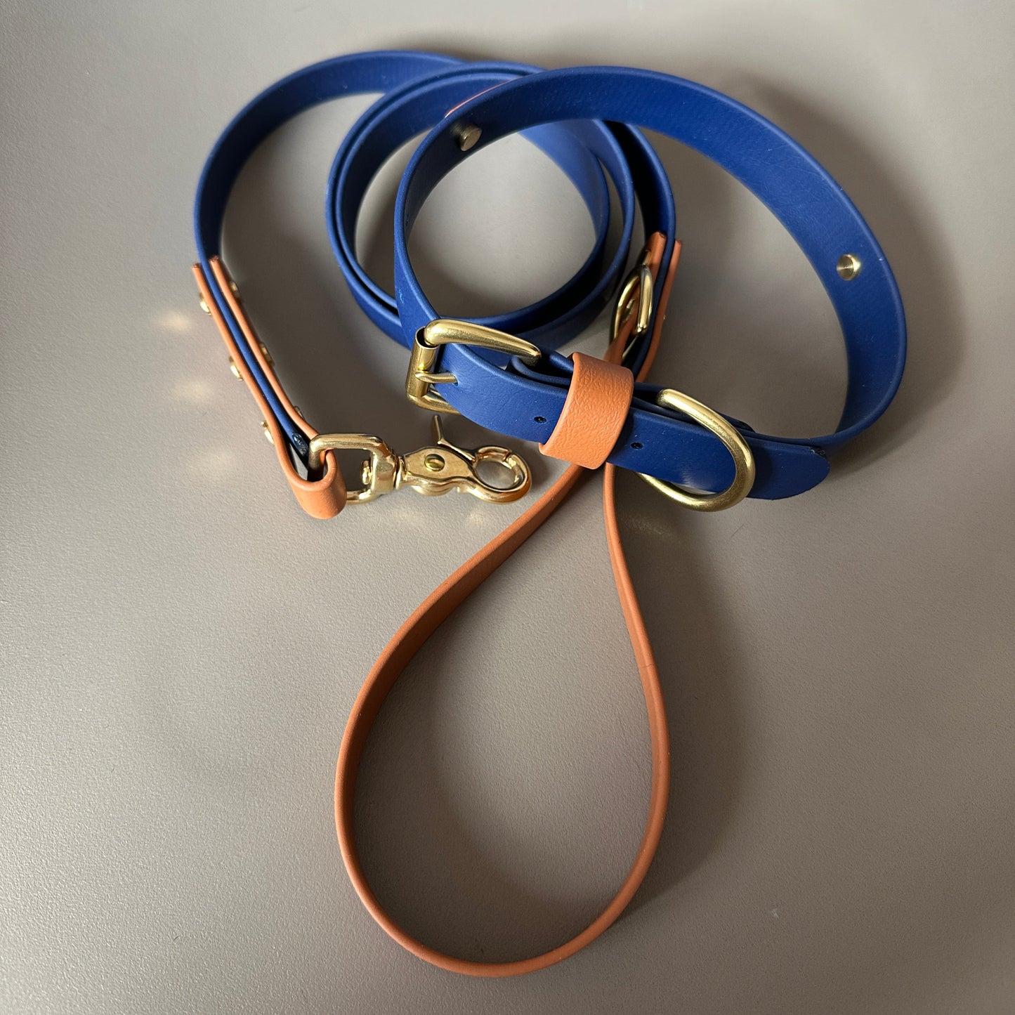 Buddy Colourblock BioThane® Lead