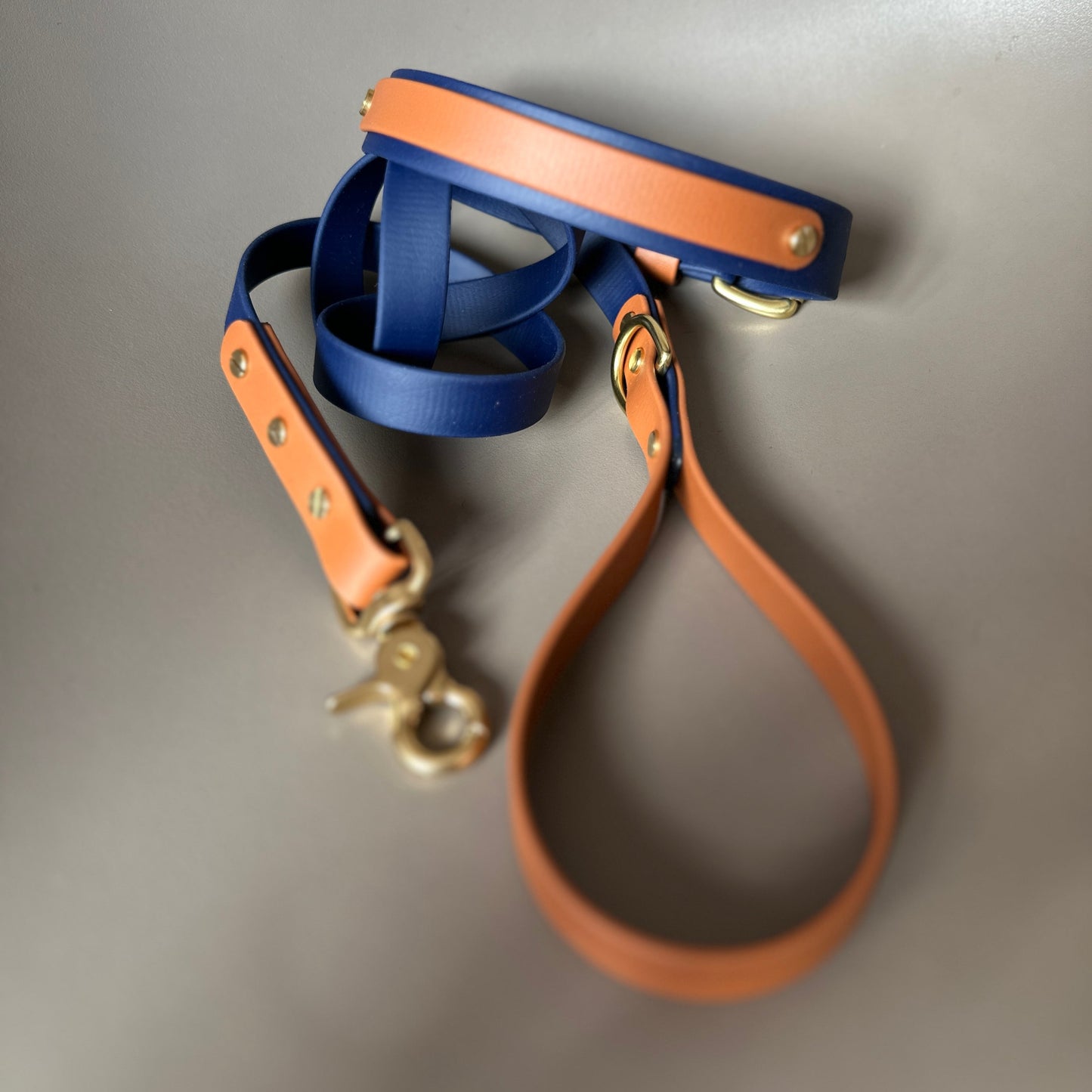 Buddy Colourband BioThane® Collar