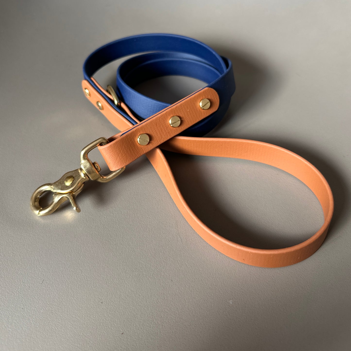 Buddy Colourblock BioThane® Lead