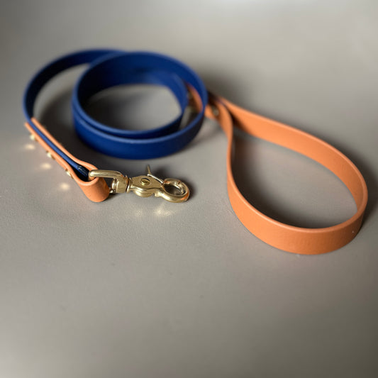 Buddy Colourblock BioThane® Lead