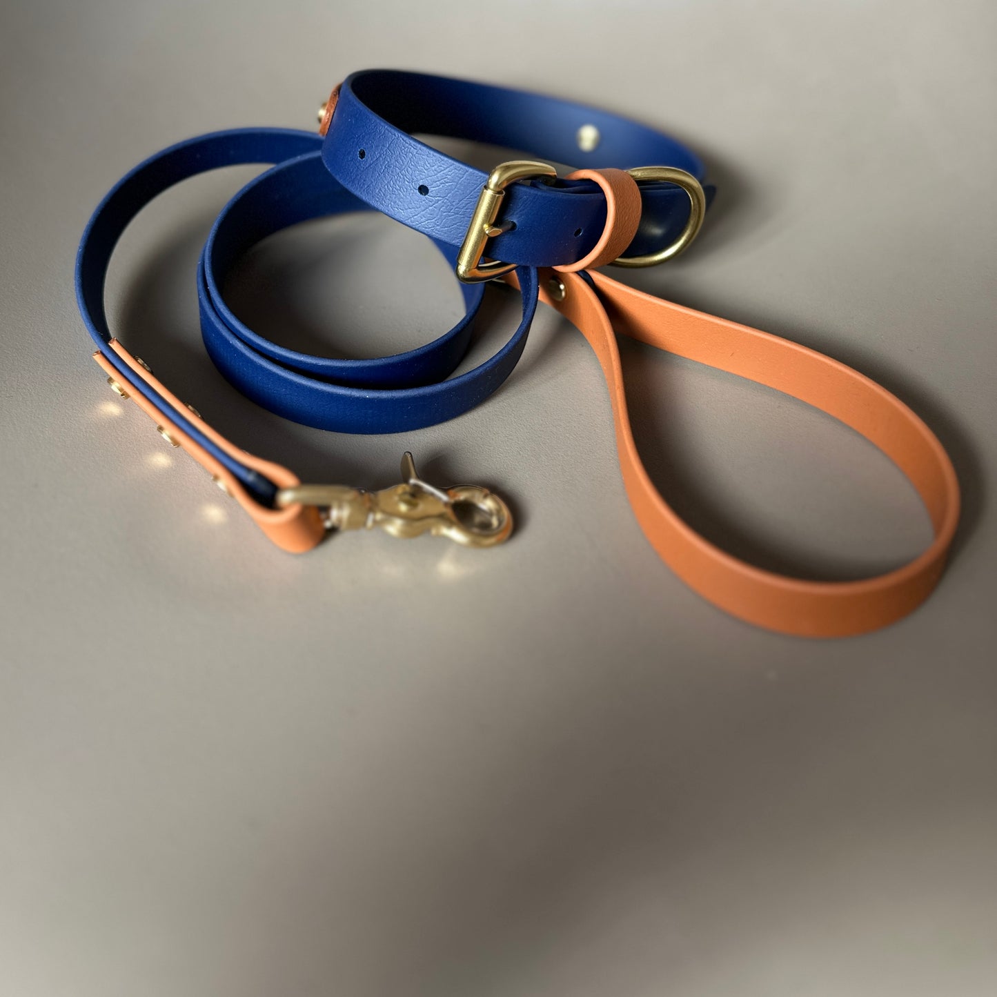 Buddy Colourband BioThane® Collar