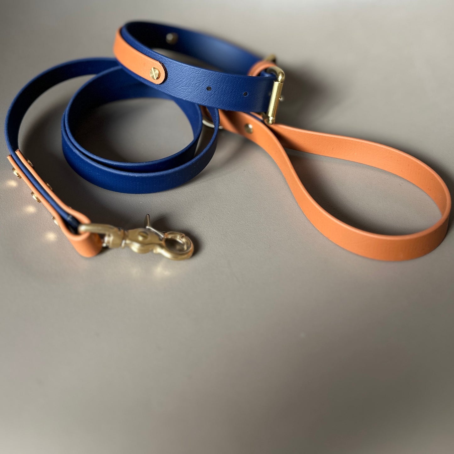 Buddy Colourblock BioThane® Lead