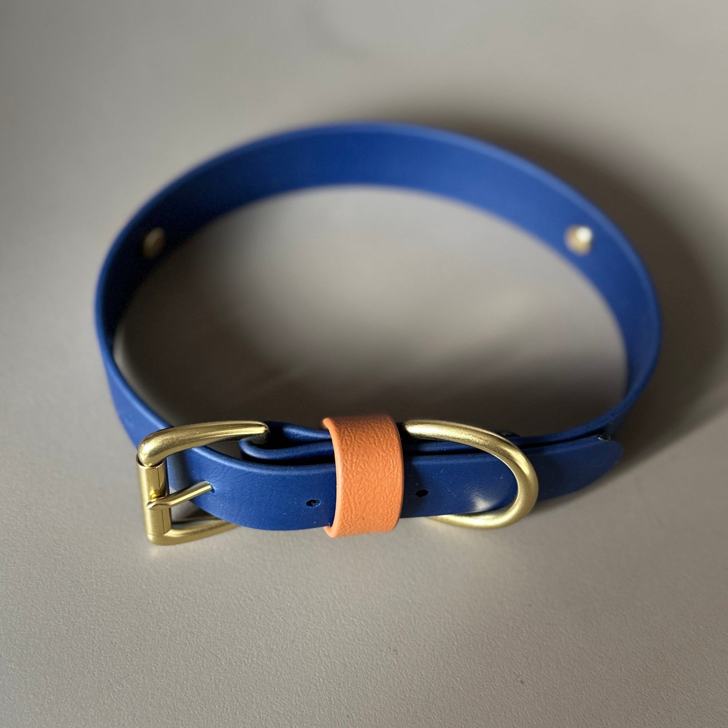 Buddy Colourband BioThane® Collar
