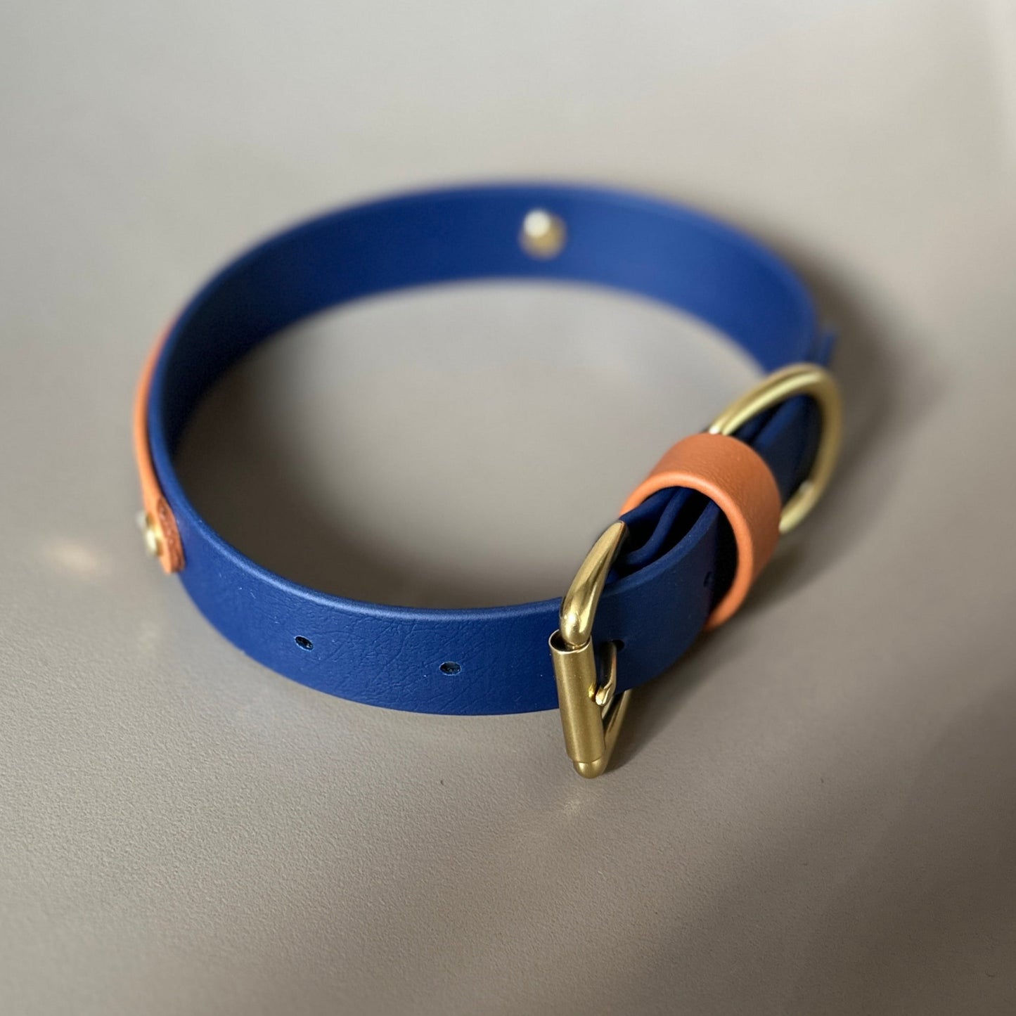 Buddy Colourband BioThane® Collar