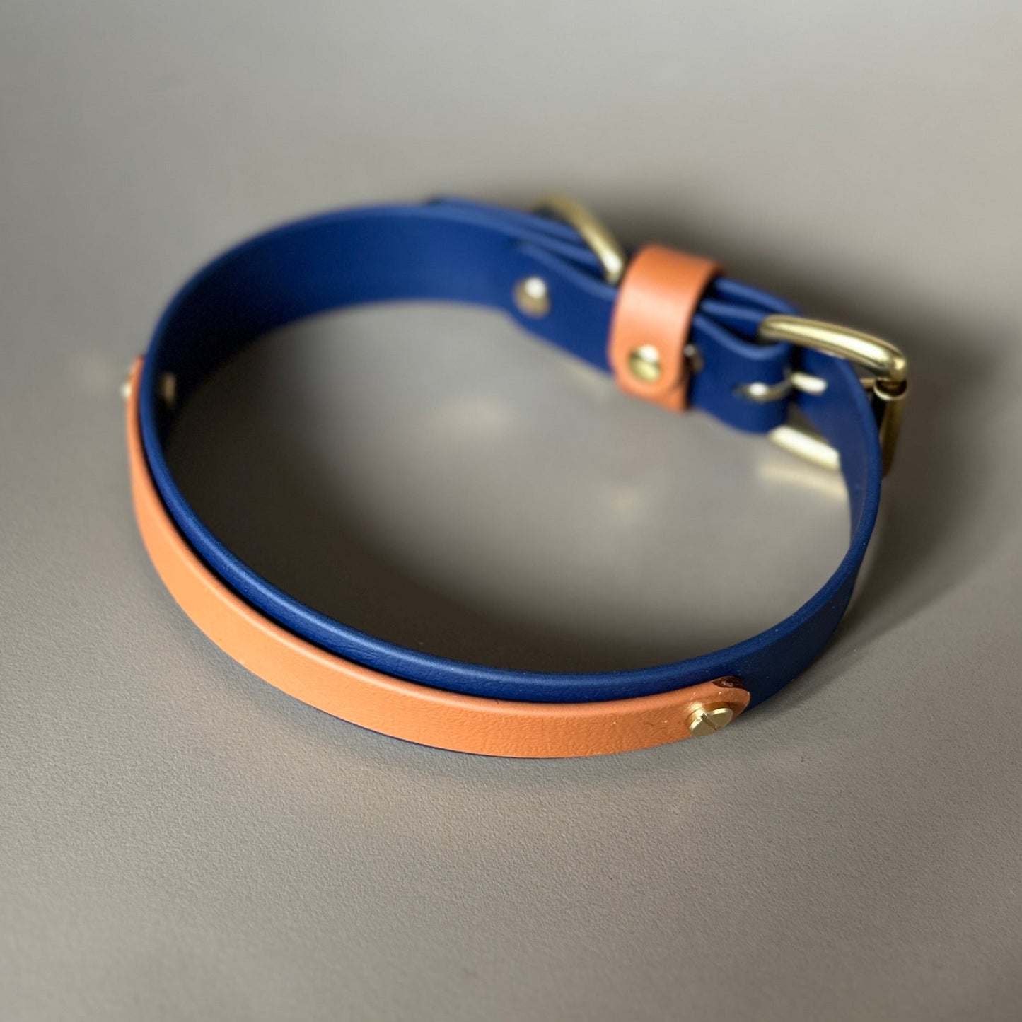 Buddy Colourband BioThane® Collar
