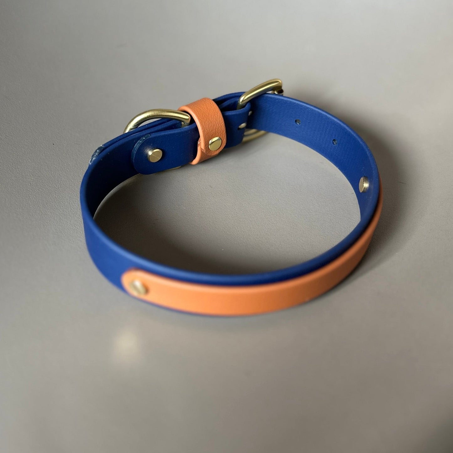 Buddy Colourband BioThane® Collar