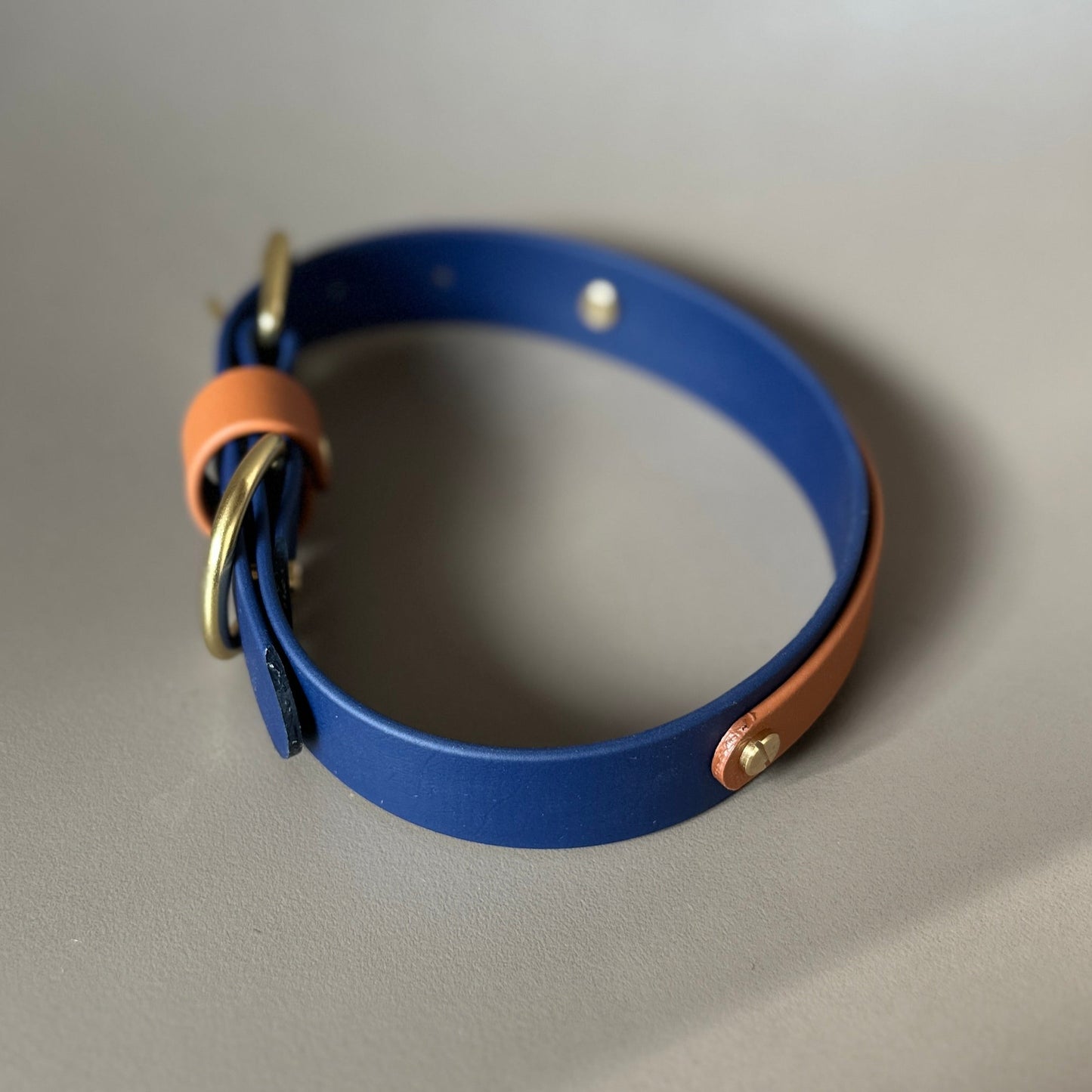 Buddy Colourband BioThane® Collar