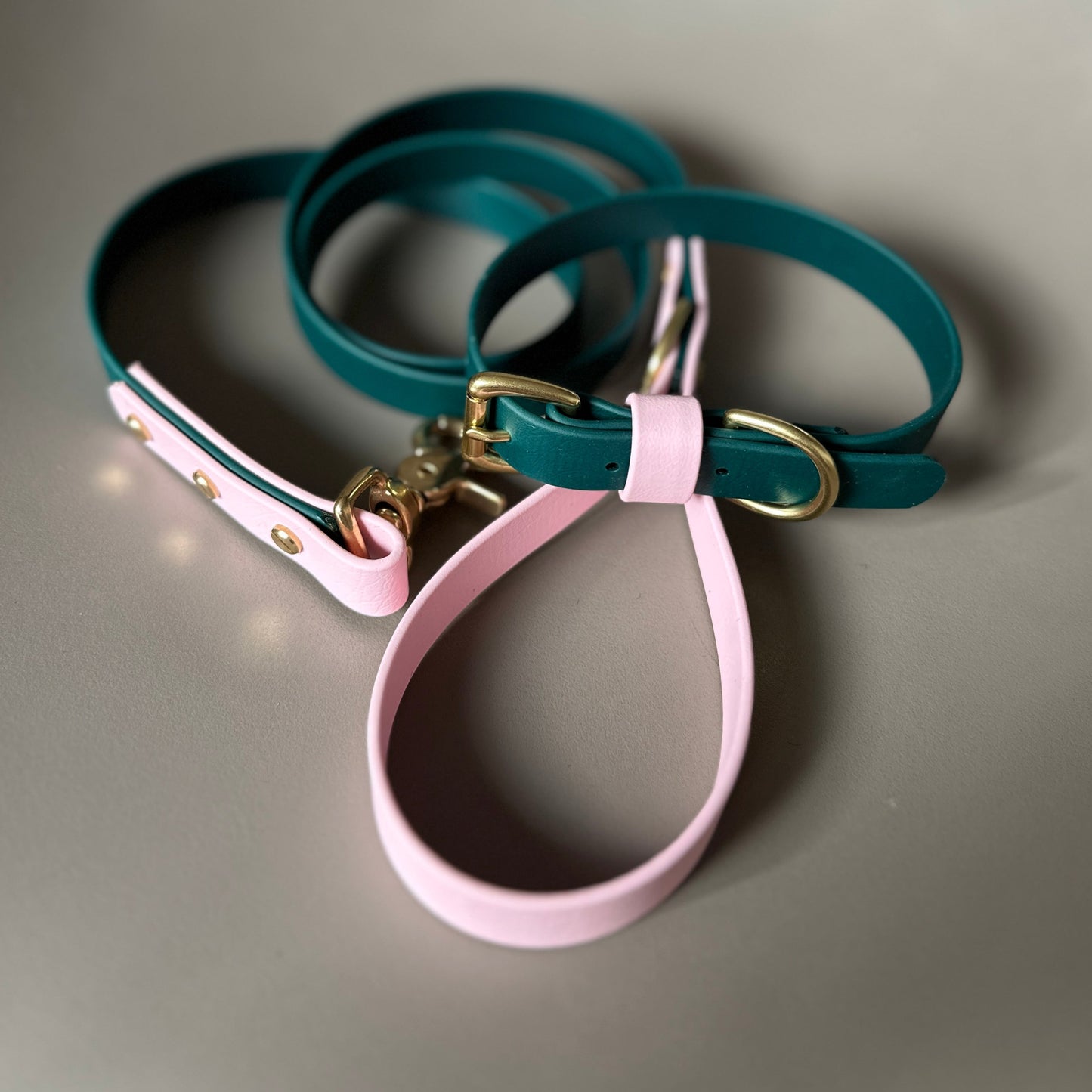 Winnie Colourblock BioThane® Lead