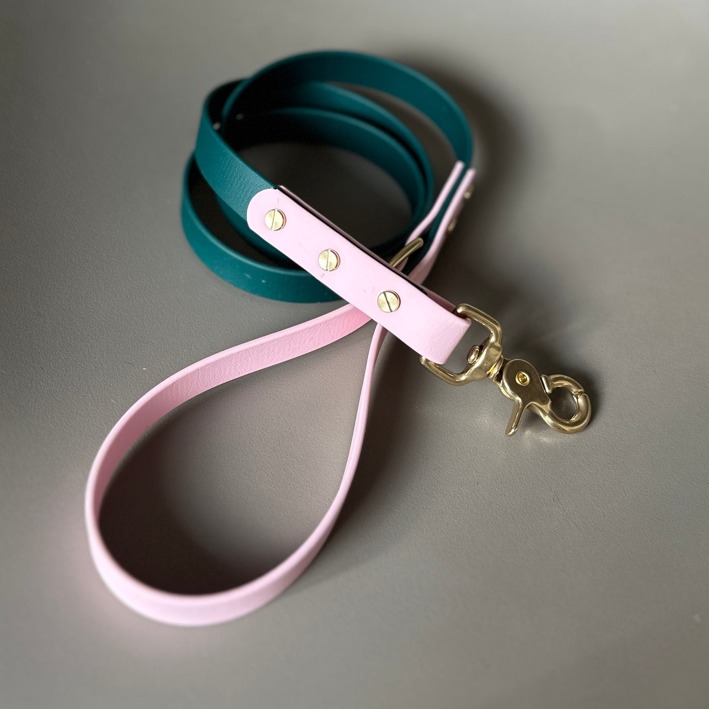 Winnie Colourblock BioThane® Lead