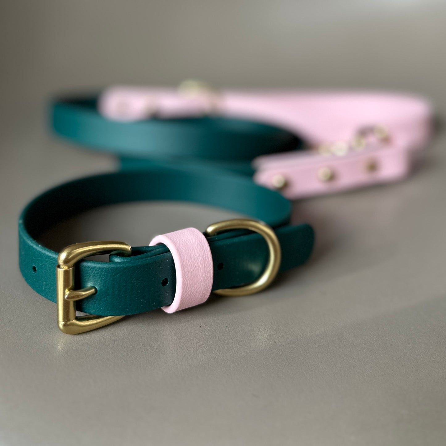 Winnie Colourblock BioThane® Collar