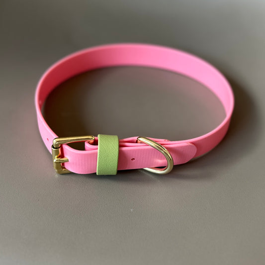 Kleo Colourblock BioThane® Collar