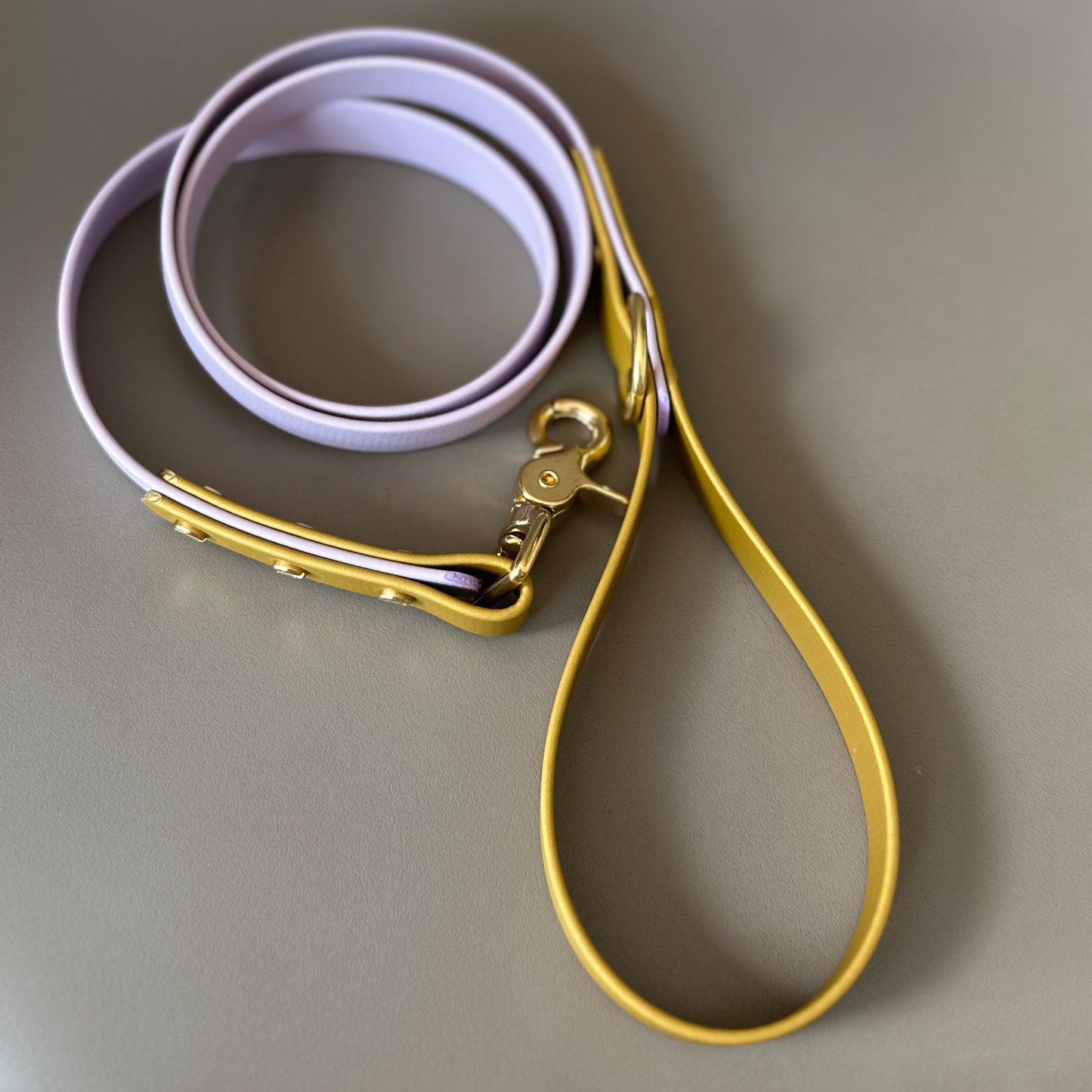 Mindy Colourblock BioThane® Lead