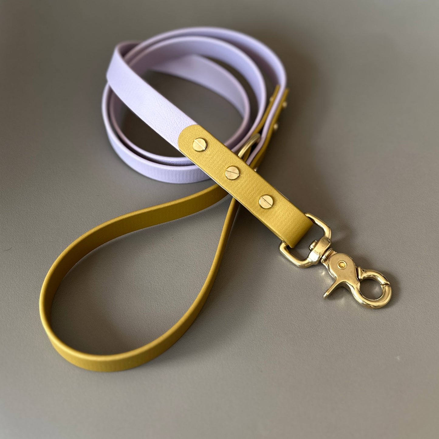 Mindy Colourblock BioThane® Lead