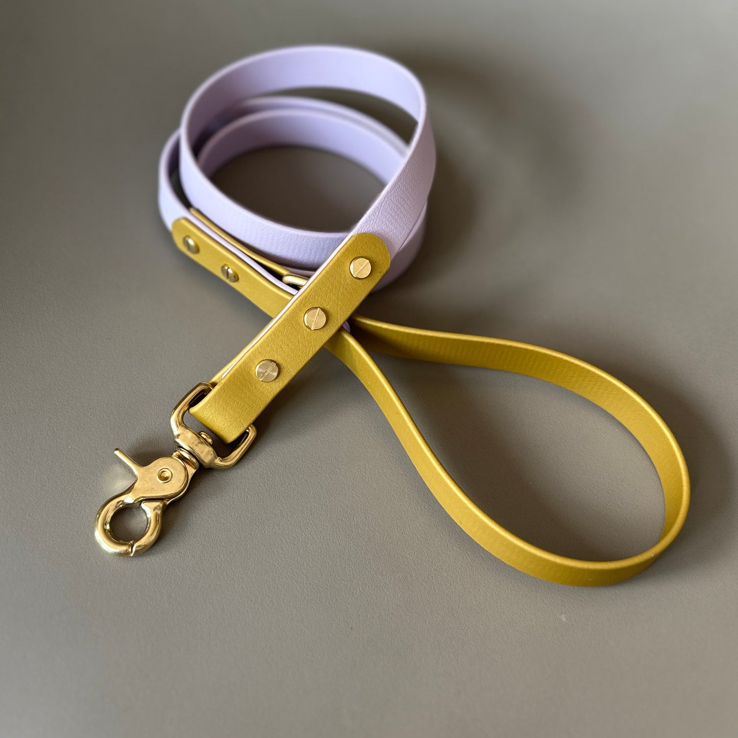 Mindy Colourblock BioThane® Lead