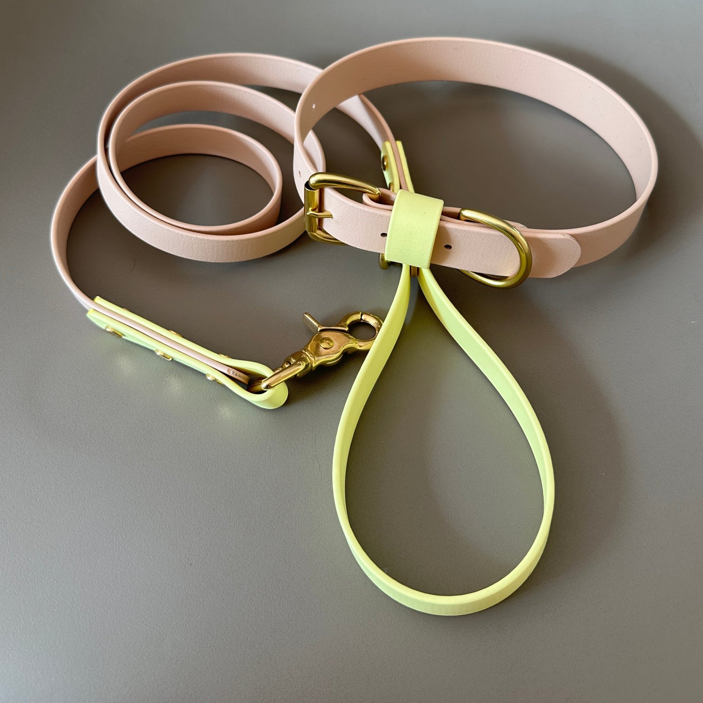 Gerald Colourblock BioThane® Lead