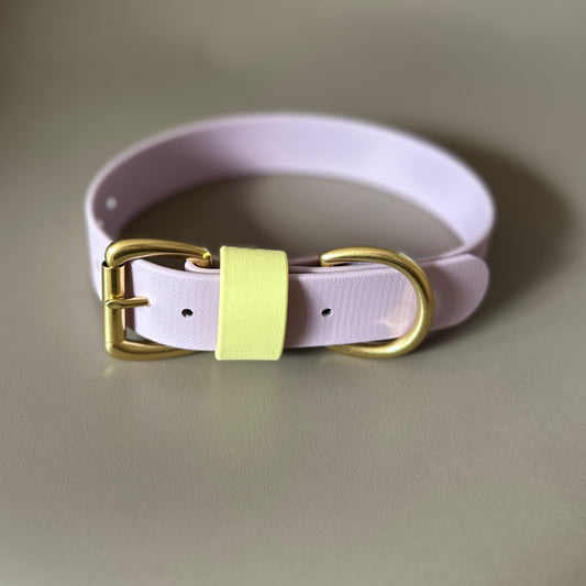 French Bean Colourblock BioThane® Collar