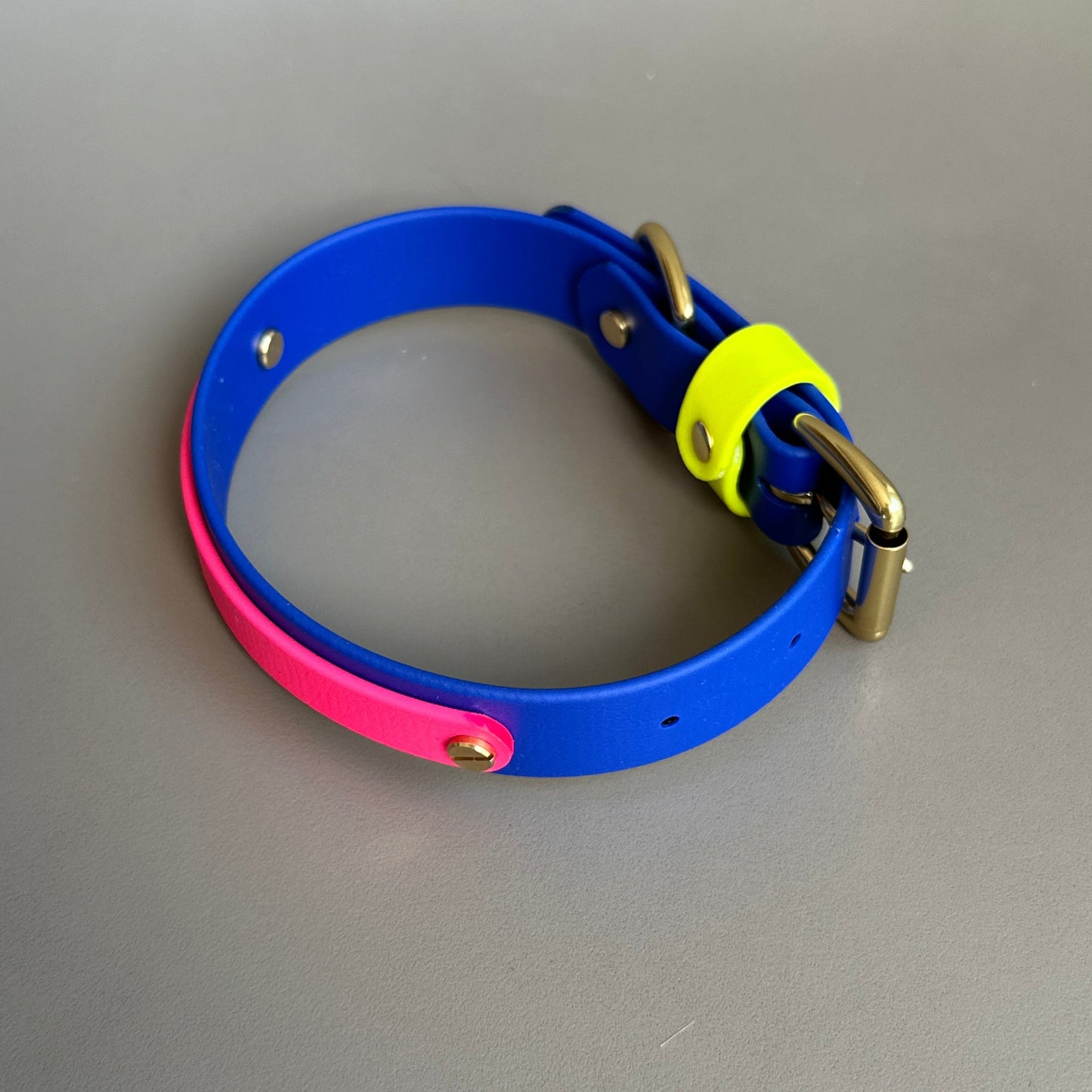 Islay Colourband BioThane® Collar
