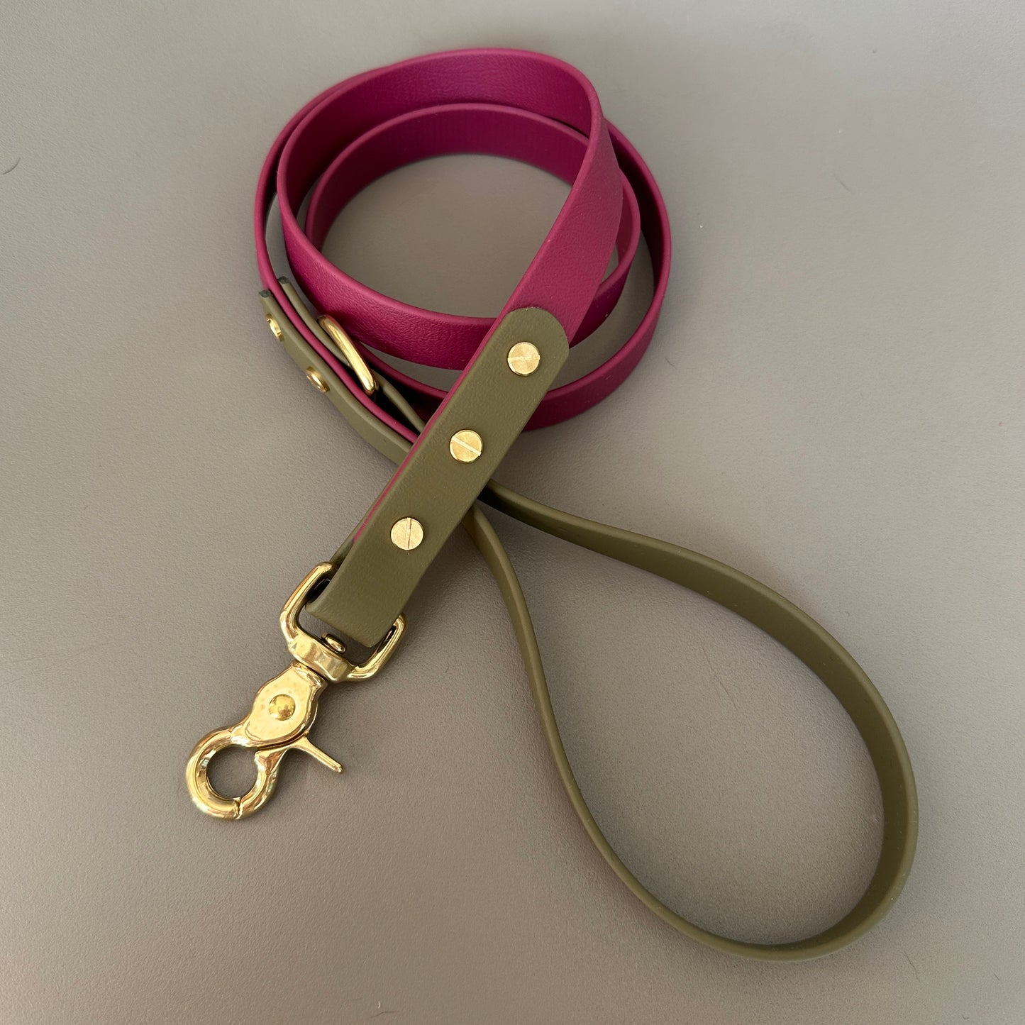 Dottie Colourblock BioThane® Lead