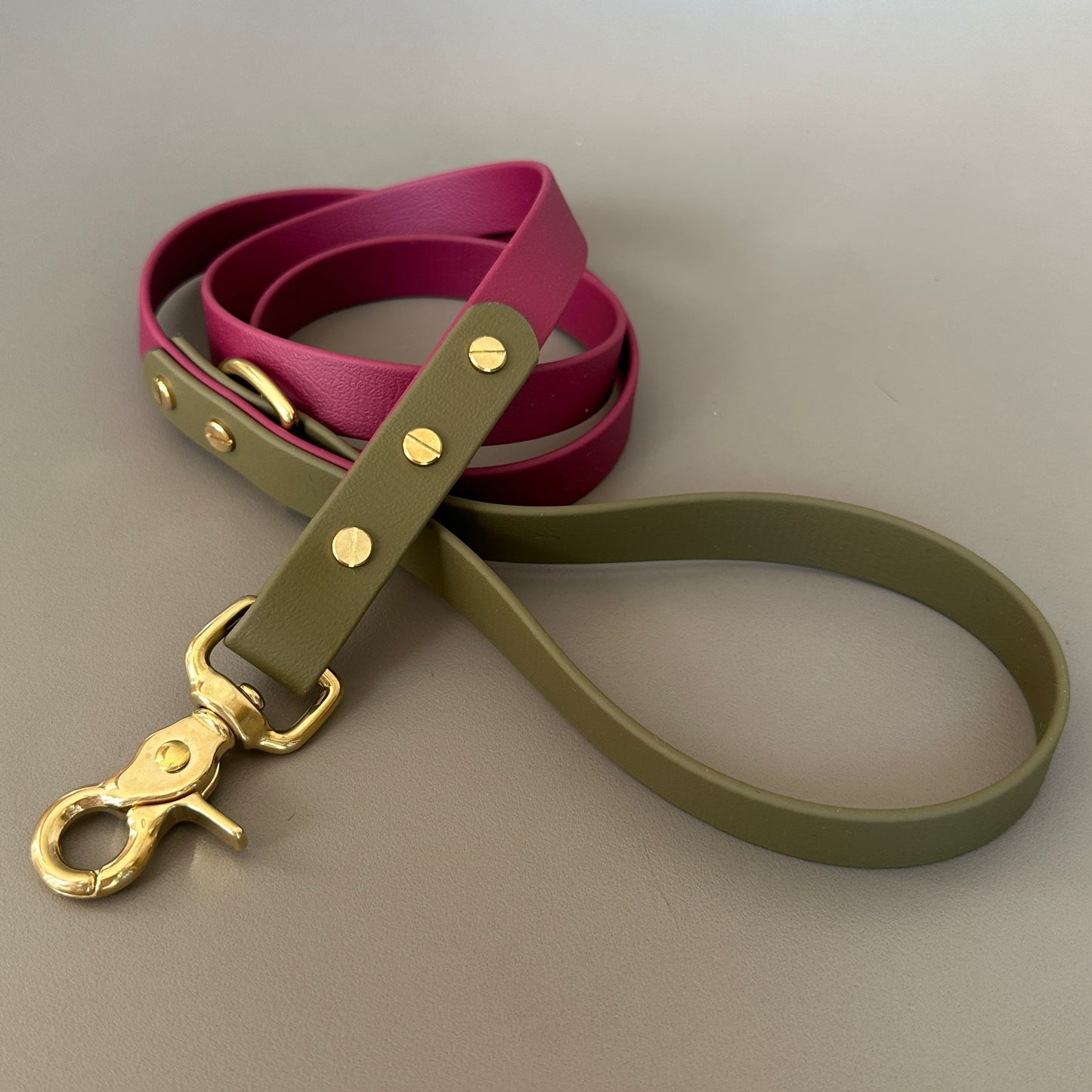 Dottie Colourblock BioThane® Lead