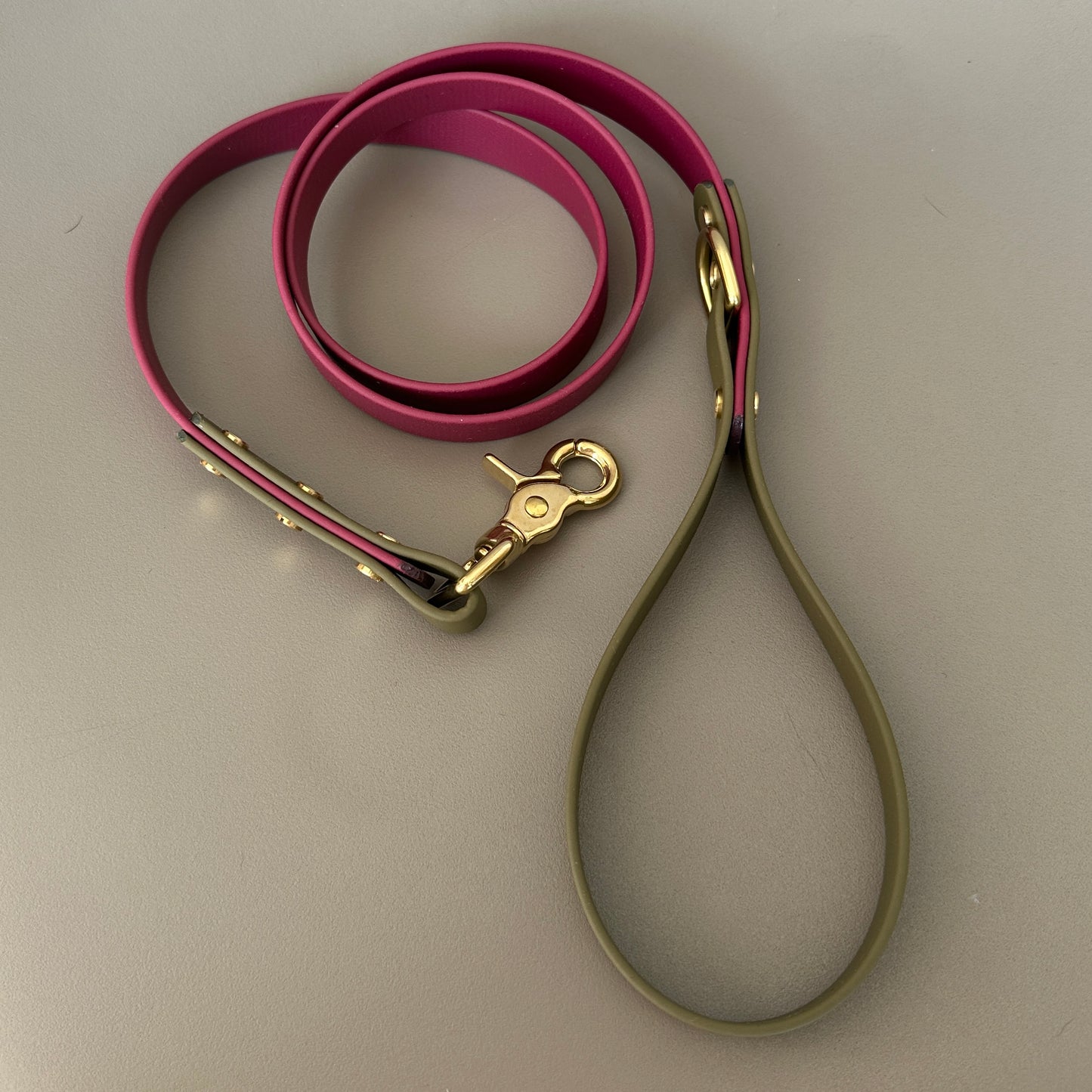 Dottie Colourblock BioThane® Lead