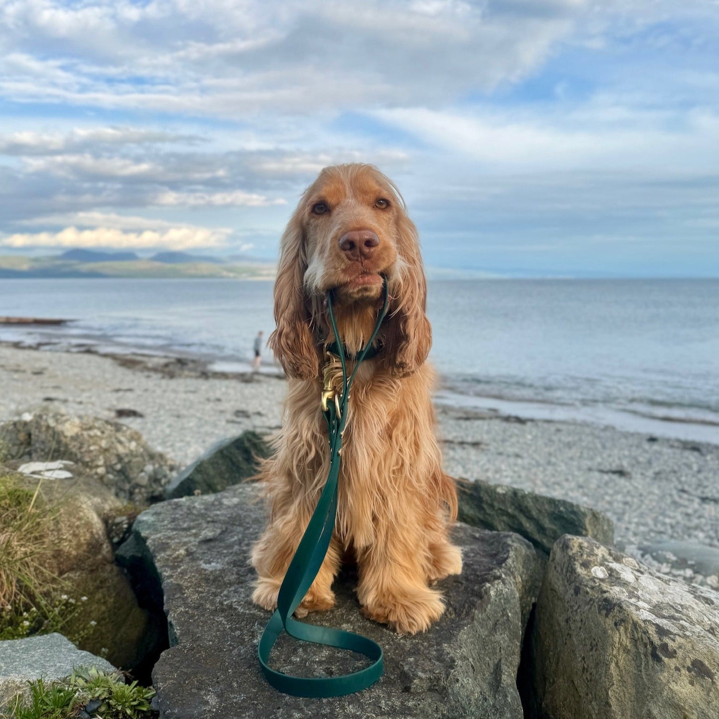 Emerald BioThane® Collar