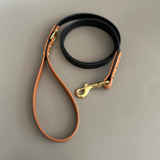 Castor Fire Colourblock BioThane® Lead