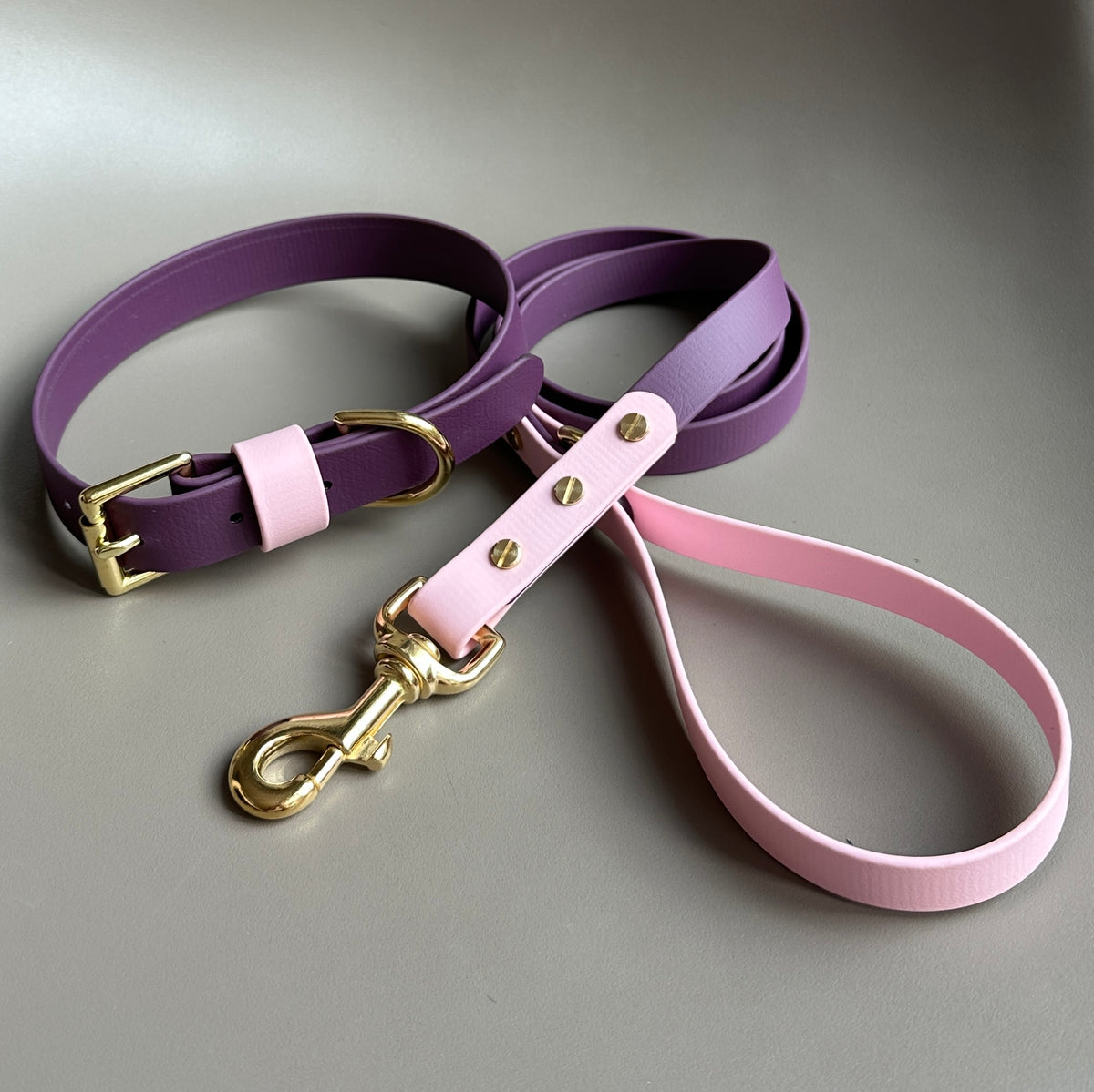 Coco Colourblock BioThane® Lead