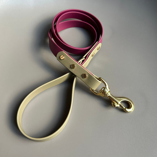 Renn Colourblock BioThane® Lead