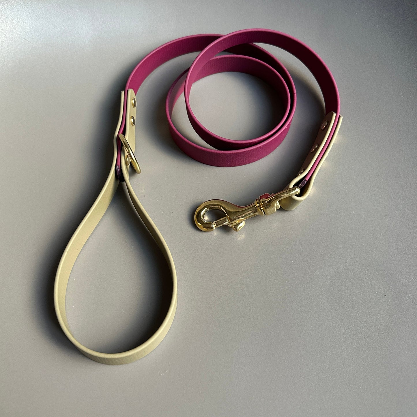 Renn Colourblock BioThane® Lead