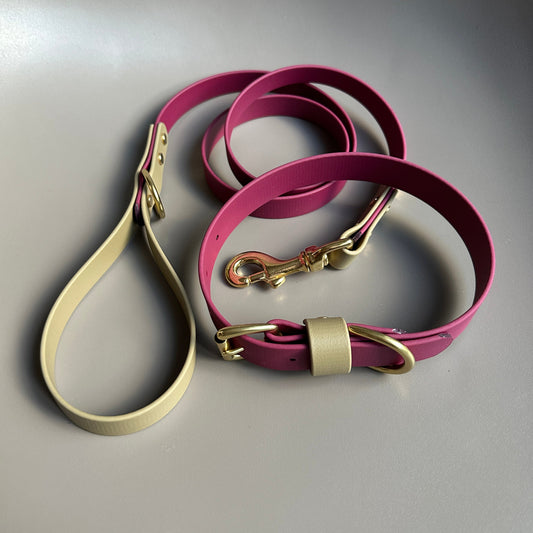 Renn Colourblock BioThane® Collar