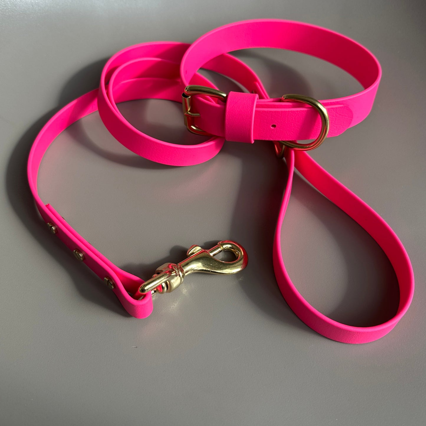 Neon Pink BioThane® Lead