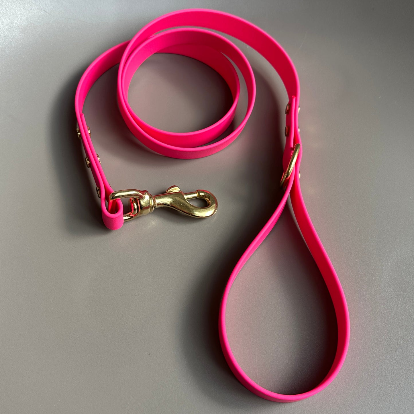 Neon Pink BioThane® Lead