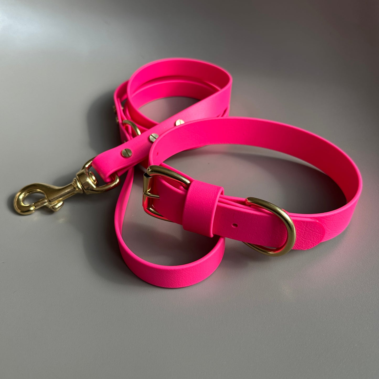 Neon Pink BioThane® Lead