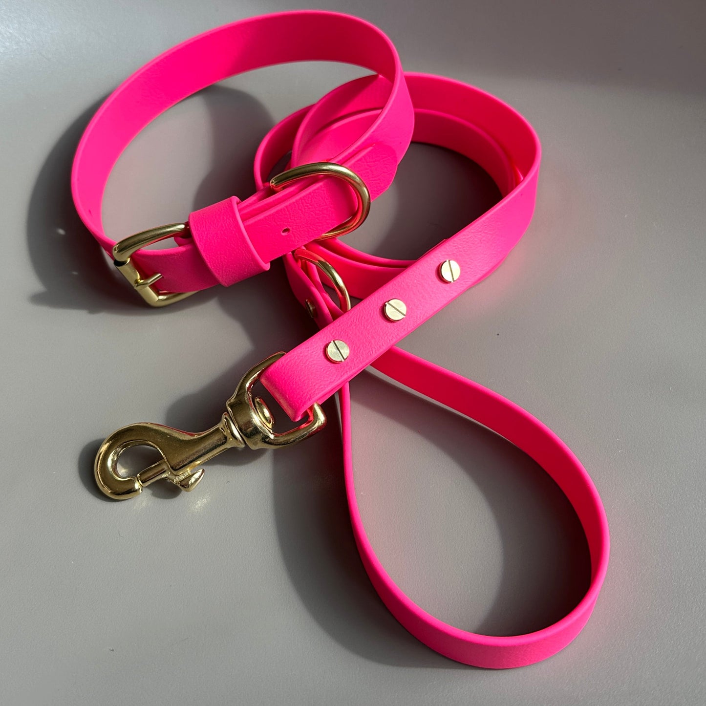 Neon Pink BioThane® Lead