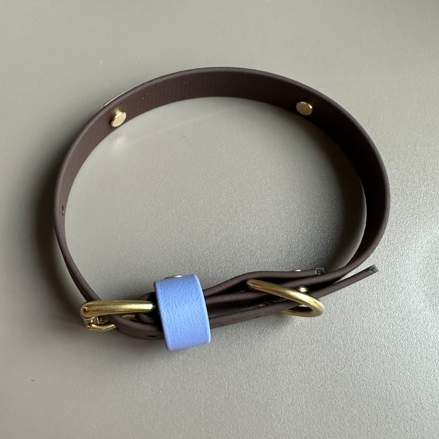 Nova Colourband BioThane® Collar
