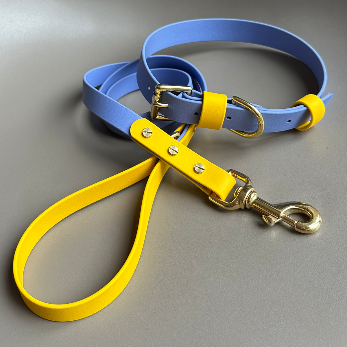Lil' Alberto Colourblock BioThane® Collar