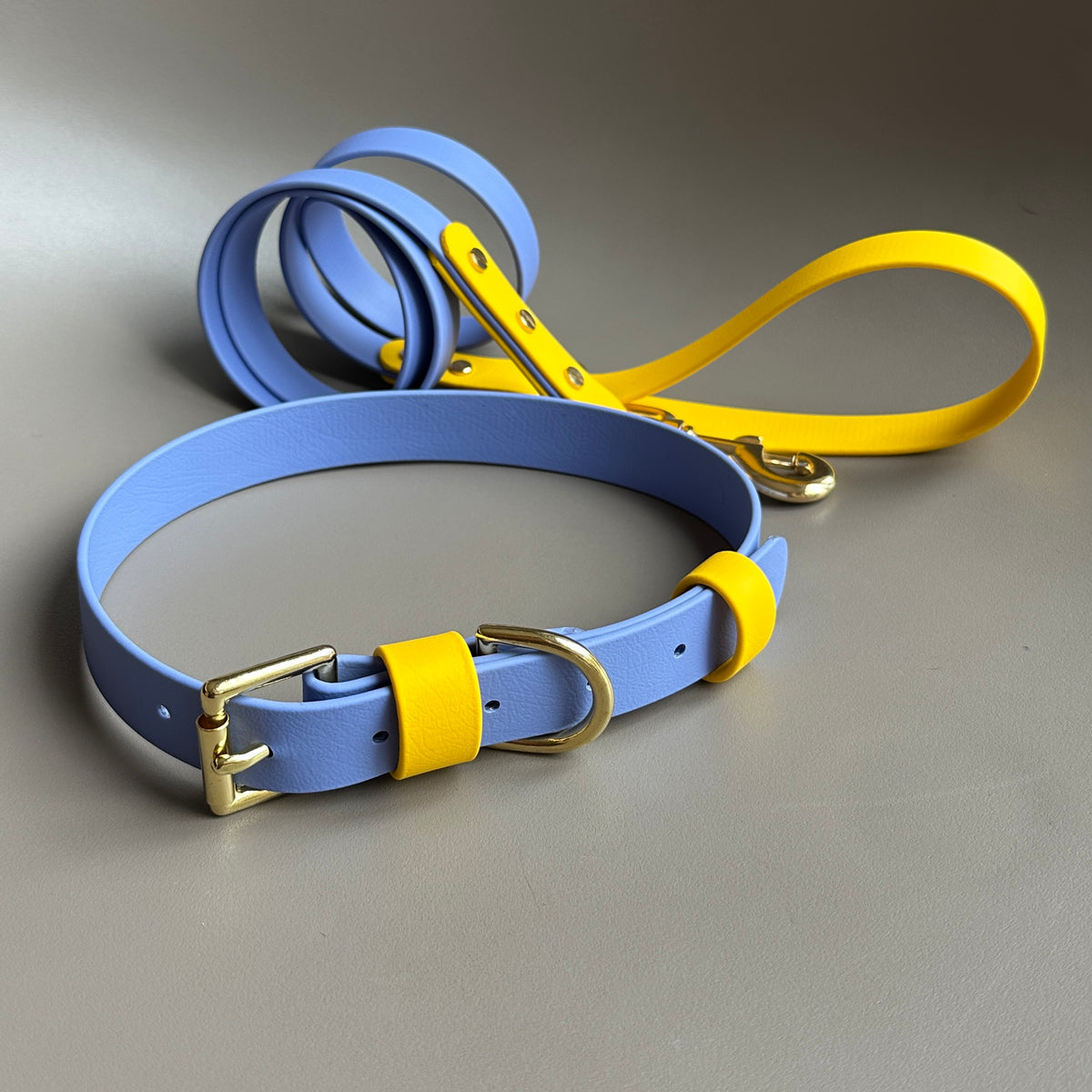 Lil' Alberto Colourblock BioThane® Lead