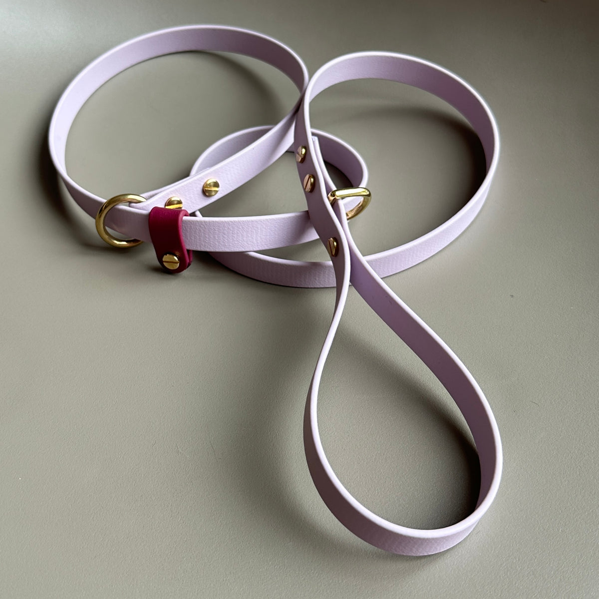 BioThane® 16mm Slip Lead