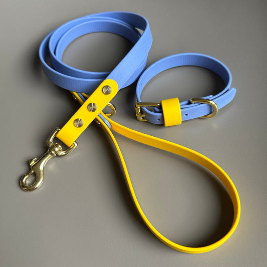 Lil' Alberto Colourblock BioThane® Collar