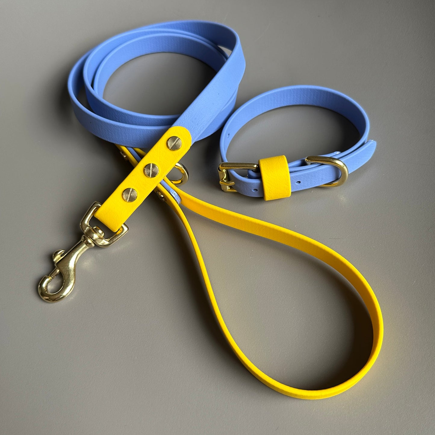 Alberto Colourblock BioThane® Lead