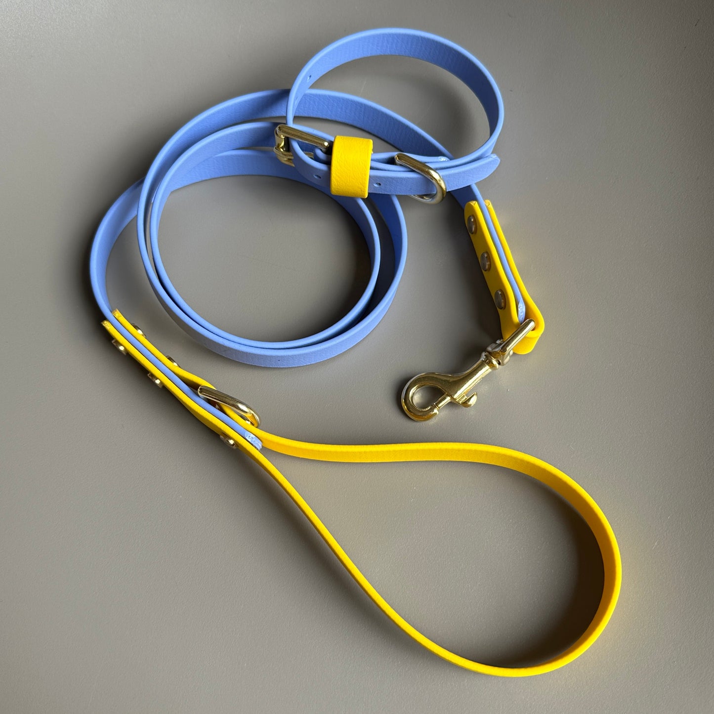 Alberto Colourblock BioThane® Collar